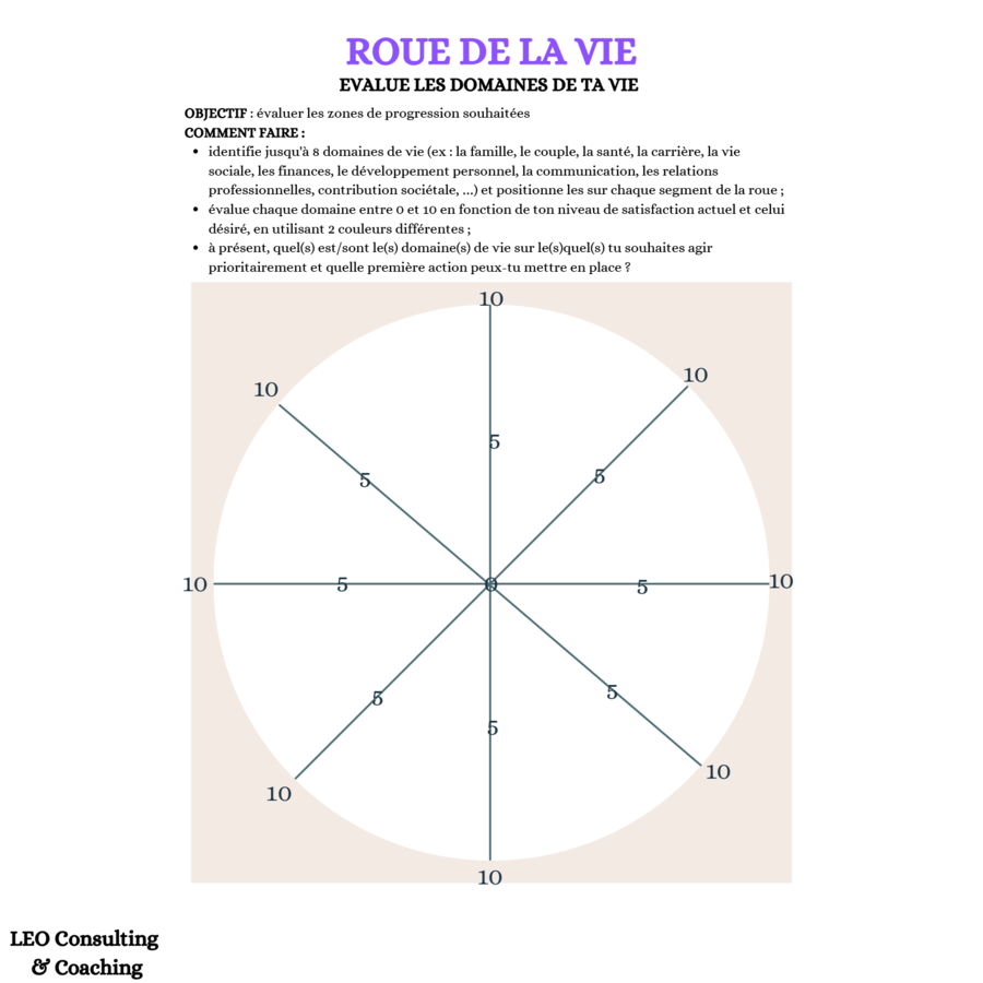 LEO Consulting & Coaching - Ressources Coaching - La Roue de la Vie: pour faire le point sur sa vie ou sa carrière